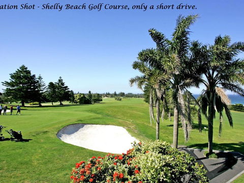 Ocean Palms Unit 2 The Entrance NSW - VIC Tourism 3