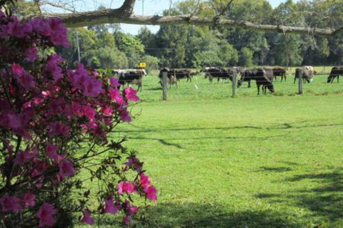 Greenfields - VIC Tourism 2