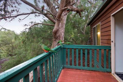 Hidden Valley Cabins - VIC Tourism 6