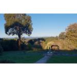 Ripplebrook Cottage - VIC Tourism 0