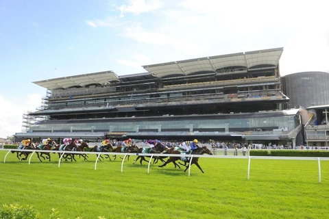 Rustic Hardwood 2 Bedroom Apartment In Randwick - VIC Tourism 1