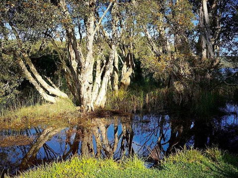 Wisteria Cottage On The Lagoon / Beach - VIC Tourism 4