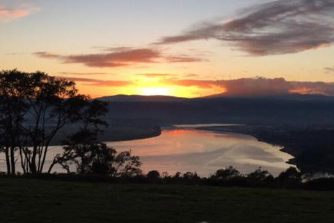 The Villa On Pine Tree - VIC Tourism 1