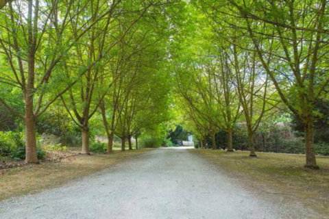 In The Valley - VIC Tourism 6