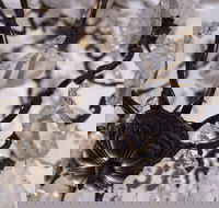 Discover Classic Rocks - VIC Tourism