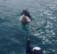 Number 72 Kalbarri Beach Resort