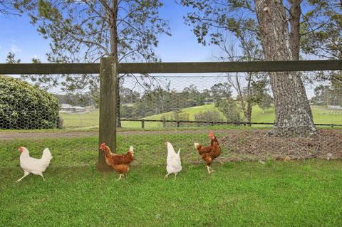 TINY HOME......BIG Views - VIC Tourism 6