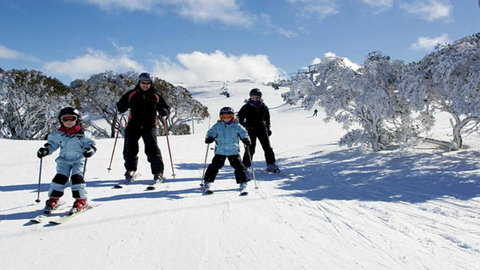 Les Chalets 20 - VIC Tourism 5