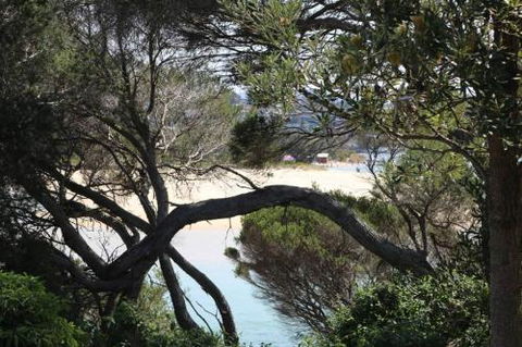 Albatross Unit 6 - VIC Tourism 2