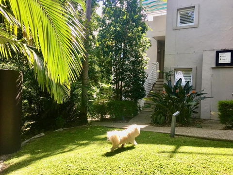 Quiet Oasis Apartment With Rooftop Spa - VIC Tourism 1