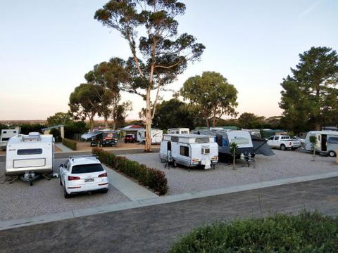 Murray Bridge Tourist Park - VIC Tourism 4