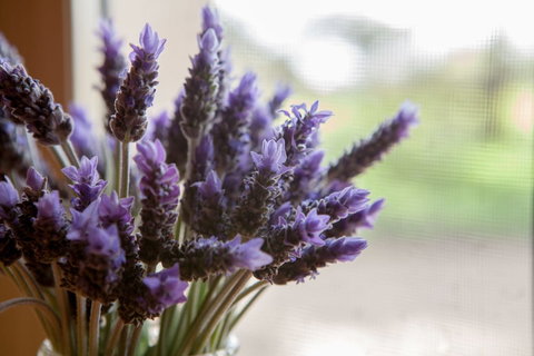 Stonewell Cottages & Vineyards - VIC Tourism 3