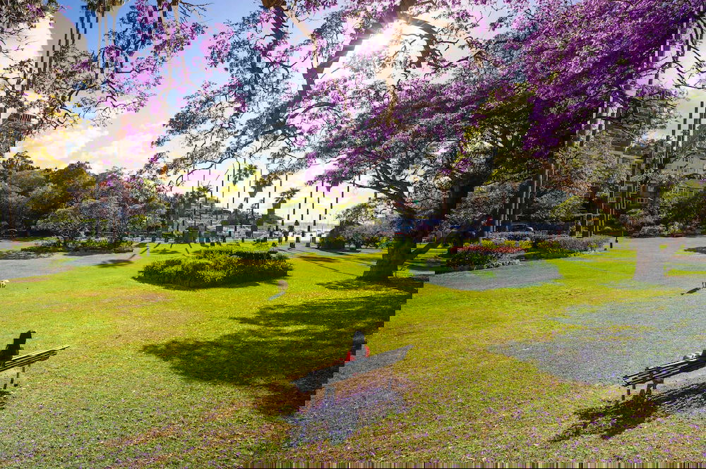 Hunters Hill NSW VIC Tourism