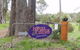 Hawke Brook Chalets - thumb 1
