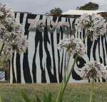 Zebras Guest House - VIC Tourism