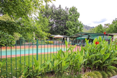 Silver Birches Holiday Unit 1 - VIC Tourism 6
