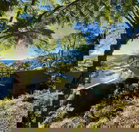 Binna Burra Rainforest Campsite - VIC Tourism