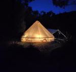 Glamping at Zeehan Bush Camp - VIC Tourism