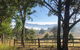 Woodenbong Roseberry House B & B - thumb 2