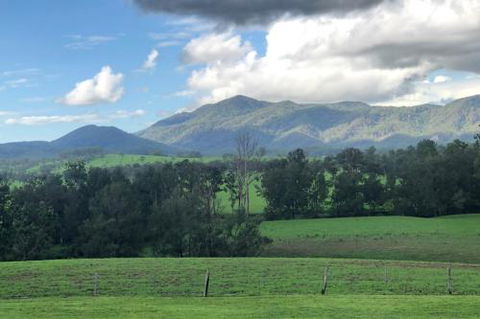 Woodenbong Roseberry House B & B - VIC Tourism 4