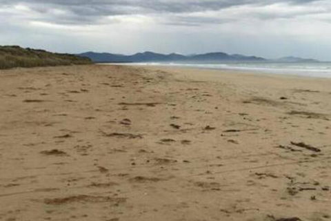 The Vibe Sandy Point - VIC Tourism 4