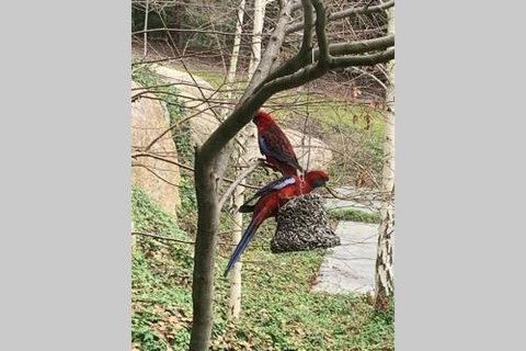 Mt Martha Couples Retreat - VIC Tourism 4