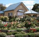 Willows Motel - VIC Tourism