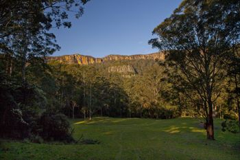 The Cedars Cottages - VIC Tourism 3