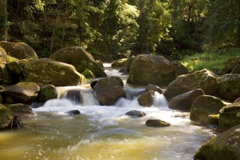 The Cedars Cottages - VIC Tourism 2