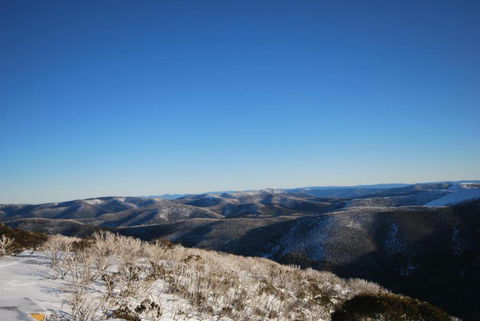 Alpine Heights 28 - VIC Tourism 1