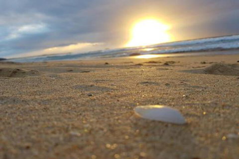 Eagles Loft - VIC Tourism 6