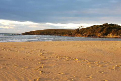 Eagles Loft - VIC Tourism 5