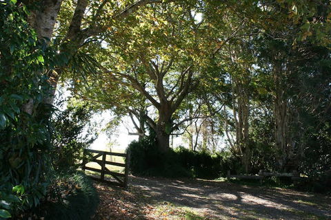 Maleny Mountain Retreat - VIC Tourism 0
