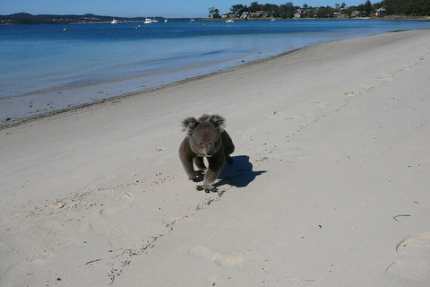 The Mitchells Waterfront Bed & Breakfast - VIC Tourism 7