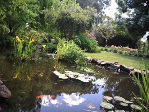 Stableford House Bed & Breakfast - VIC Tourism 1