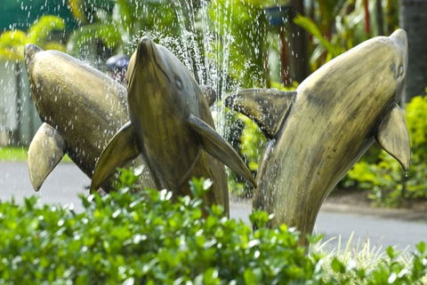 Cairns Coconut Holiday Resort - VIC Tourism 1