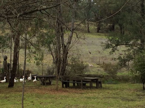 Wildwood Guesthouse - VIC Tourism 1