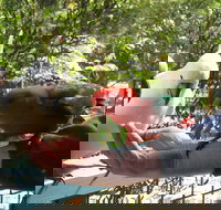 Lorne Bush House Cottages  Eco Retreats - VIC Tourism