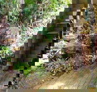 Rainforest Hideaway - VIC Tourism