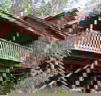 Barrington Wilderness Cedar Lodge Accommodation - VIC Tourism