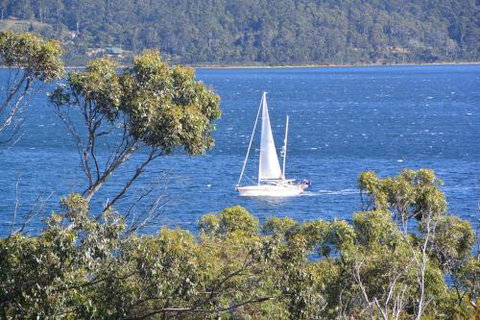 The Tree House - VIC Tourism 3