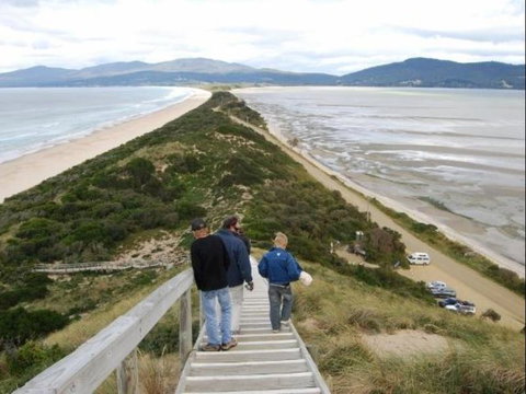 The Tree House - VIC Tourism 6