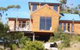 The Tree House - thumb 0