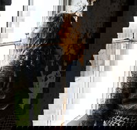 Cape Otway Lightstation