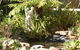 Tara House Bed & Breakfast - thumb 3