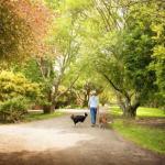 Johanna VIC VIC Tourism