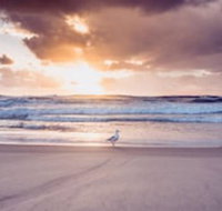 Blue Waters Motel - VIC Tourism