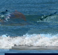 Summerhills Retreat Byron Bay - VIC Tourism