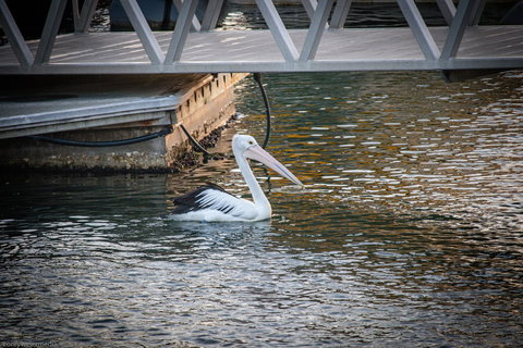 Tripcony Quays Apartments - VIC Tourism 2