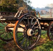 Toorongo River Sanctuary - VIC Tourism